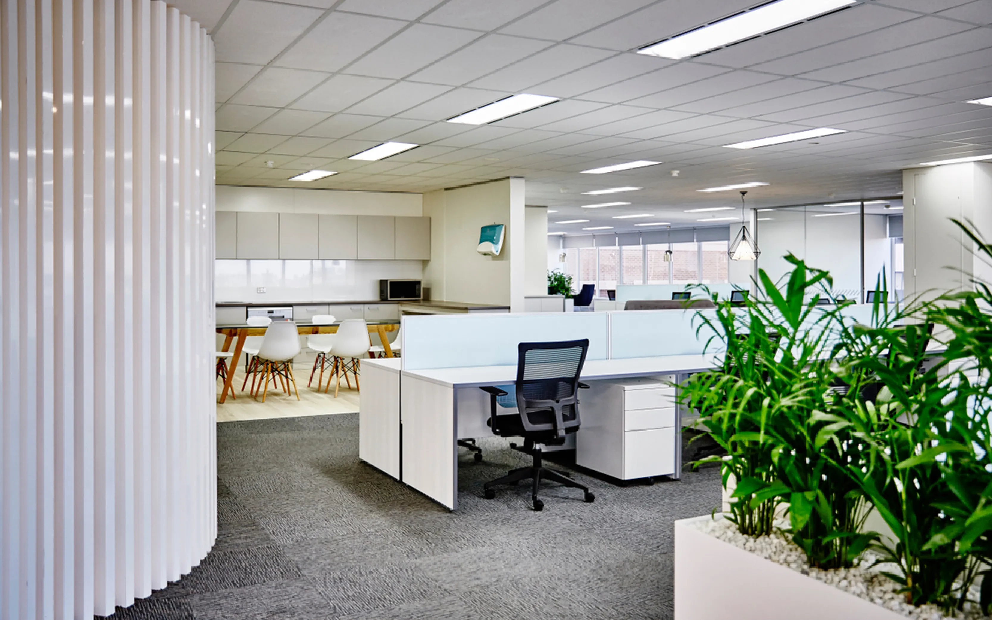 carpet cleaning in new york, carpet cleaning New York, carpet cleaners in New York, commercial carpet cleaning, commercial carpet cleaning in New York, New York rug cleaners, rug cleaning services in New York, same day carpet cleaning, same day rug cleaning, upholstery cleaning services in new york, carpet cleaning services in ny, ny carpet cleaning , rug cleaning ny, upholstery cleaning ny