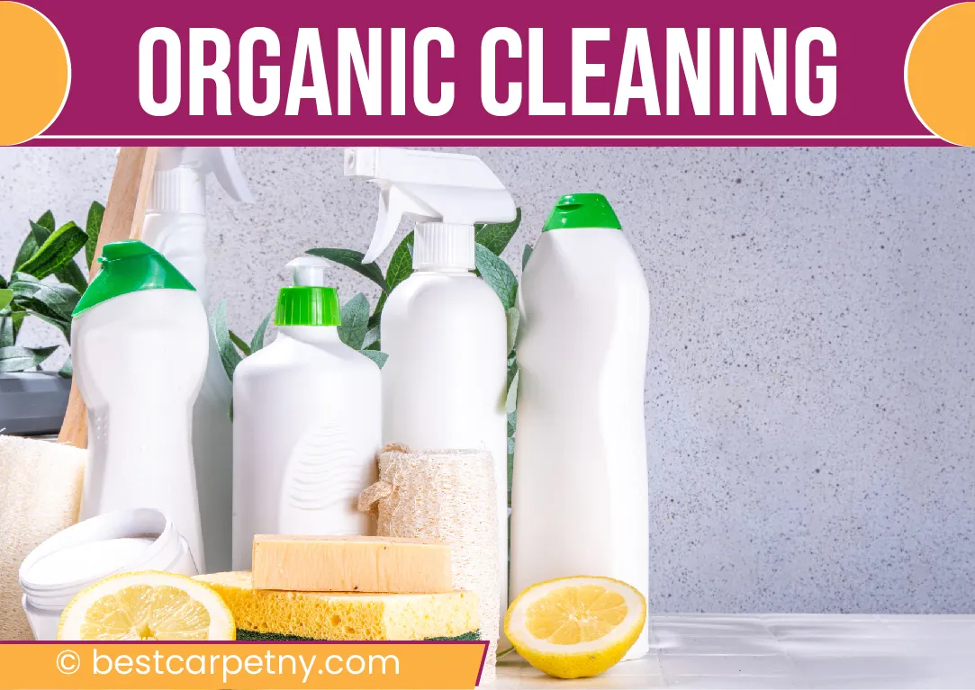 carpet cleaning in new york, carpet cleaning New York, carpet cleaners in New York, commercial carpet cleaning, commercial carpet cleaning in New York, New York rug cleaners, rug cleaning services in New York, same day carpet cleaning, same day rug cleaning, upholstery cleaning services in new york, carpet cleaning services in ny, ny carpet cleaning , rug cleaning ny, upholstery cleaning ny